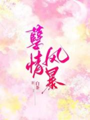 孽情風暴