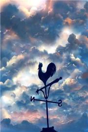 重回七零，她當起了垃圾場臨時工