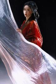 墨追光，染逐夢