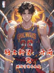 騎士新皇：開局覺醒防守逆天係統