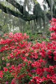 懲治惡鄰,半個小區被我送進監獄