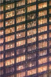 我裝傻後發現大佬在裝瞎！