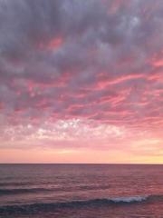 吃了一口外孫女的提拉米蘇被女兒罵貪吃鬼，