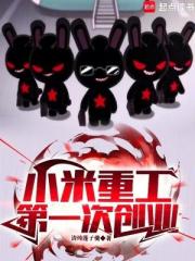 小米重工，第一次創業！