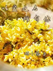 以愛之名擁有你