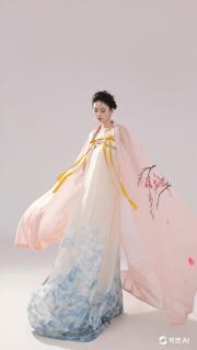 不似少年不解情