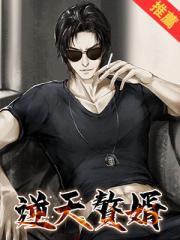 重生之逆天贅婿