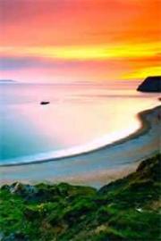 小可憐被趕出家後,懷崽崽嫁豪門