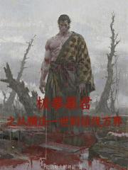 極拳暴君之從橫壓一世到征伐萬界