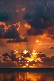 明月也曾照驚鴻