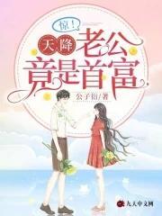 驚_天降老公竟是首富