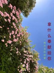 拿什麼奉獻給你_歌詞