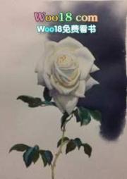 撿到一隻吸血鬼(sc,1v1,H)