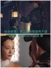 轉世宦情：進衛堇香嬿意兩不疑