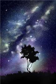 姐姐被穿越女占據身體後