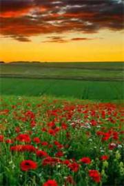 長公主她懟天懟地