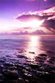 薑彤厲璟辰離婚兩年霸總開啟追妻之旅