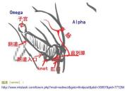 豪門豔事/軍官養父的霸道之吻[ABO]
