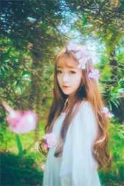 四季逢春,再無我們