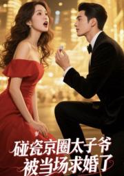 碰瓷京圈太子爺，被當場求婚了
