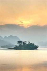 女配懷崽嫁人後，男主一夜黑化了