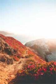 第七次意外流產後我摘掉子宮,他卻後悔了